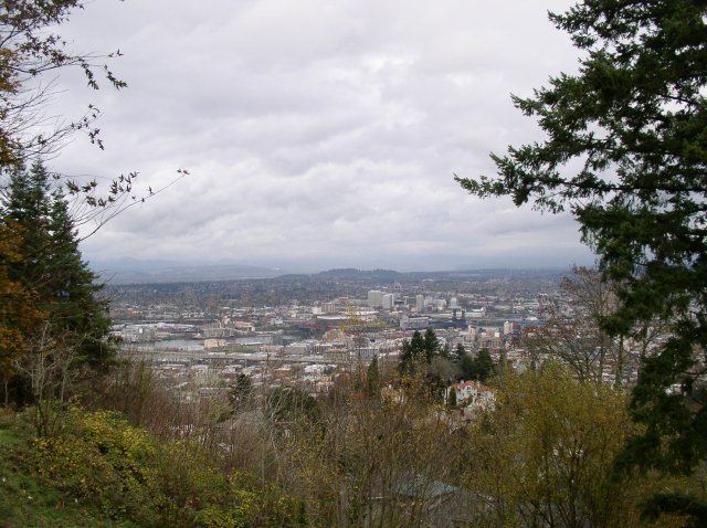 11.13.05 Arboretum-Pittock Mansion-Macleay Park 020 